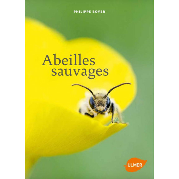 Abeilles sauvages - Ph. Boyer