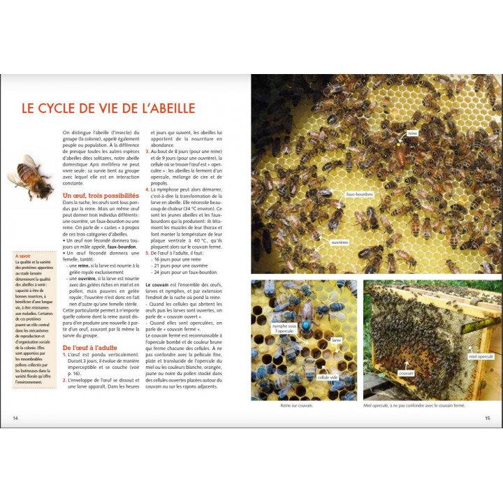 Installer un premier rucher - Guide pratique du débutant - Jean RIONDET