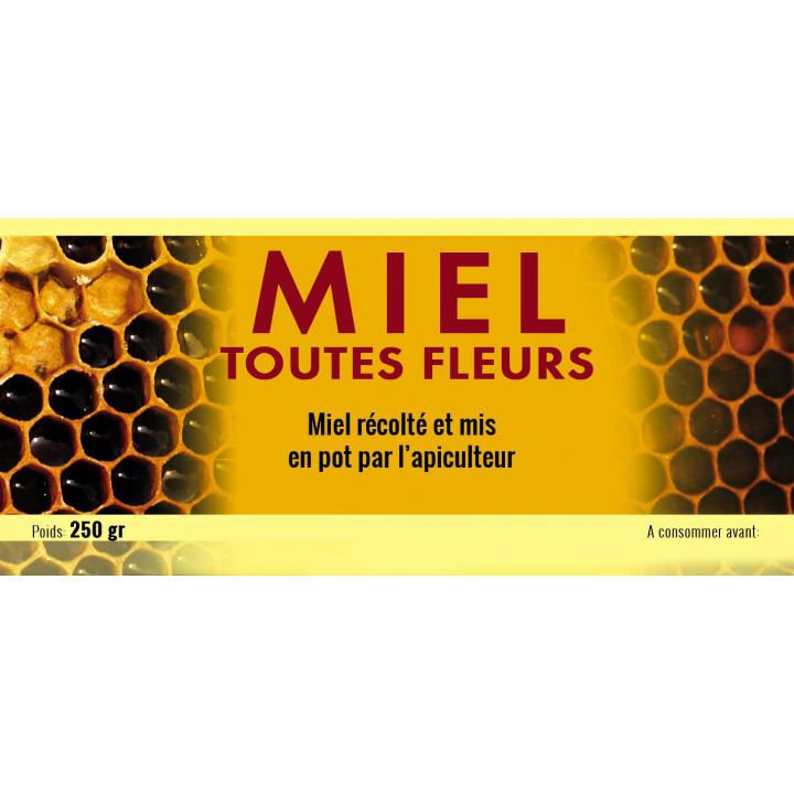 Etiquettes MIEL TOUTES FLEURS - motif  alvéoles - 250 gr