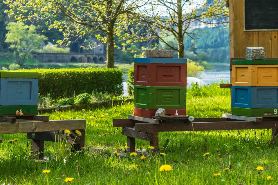 Hivernage et protection des ruches et ruchettes en polystyrène