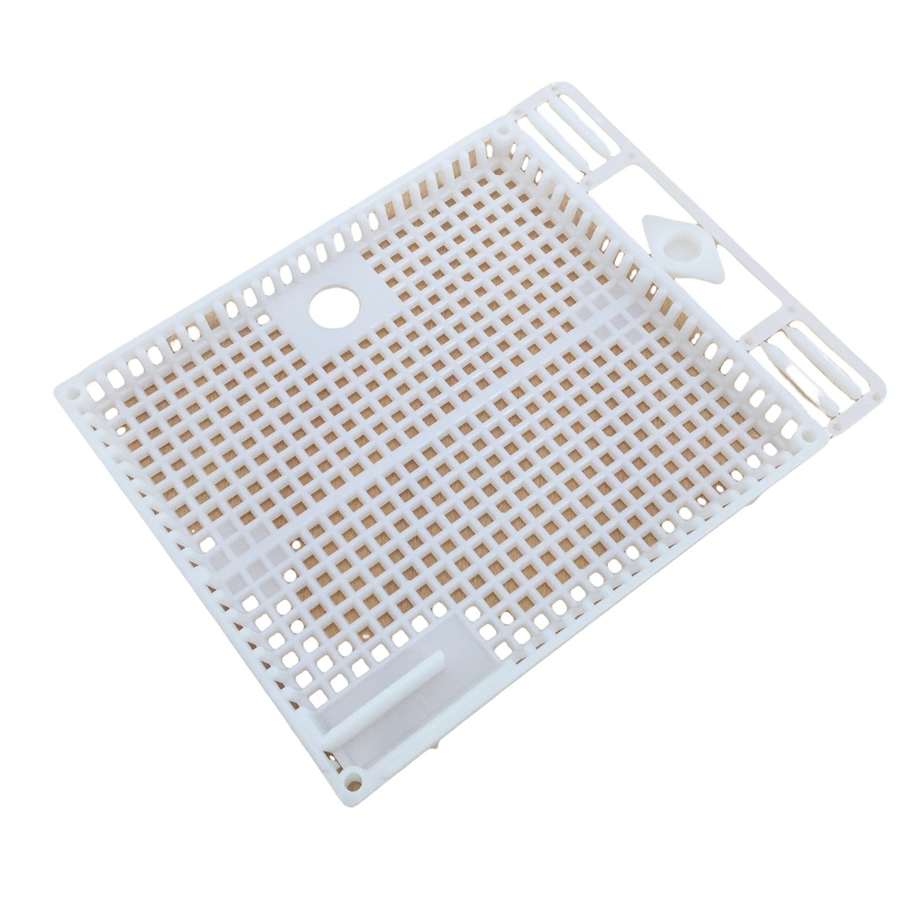 Cages d'introduction sur couvain