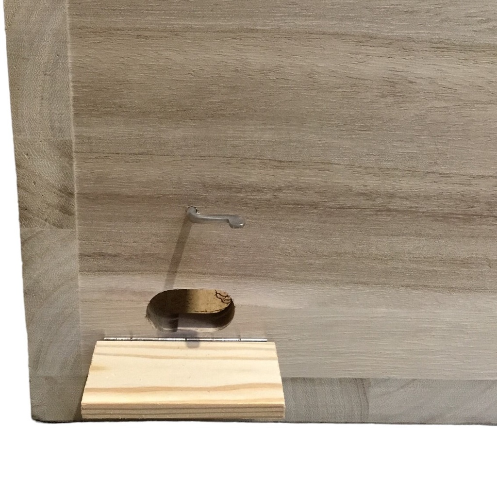 Ruchette de fécondation EWK - Normal Mass (DN) porte ouverte pour entrée et sortie des abeilles