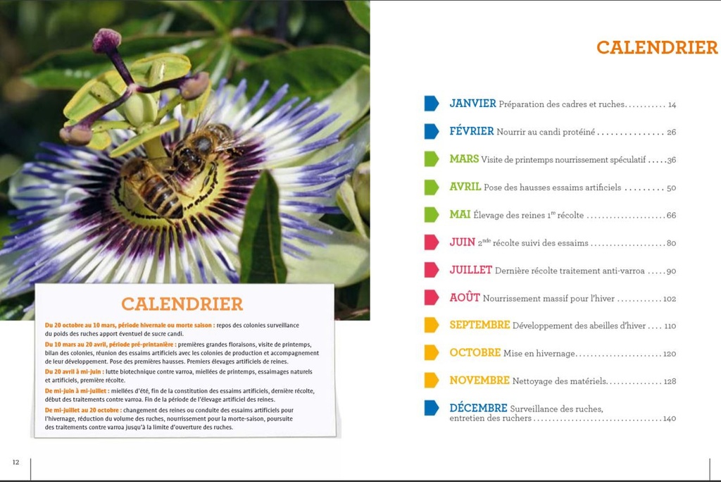 L'apiculture mois par mois - Jean RIONDET