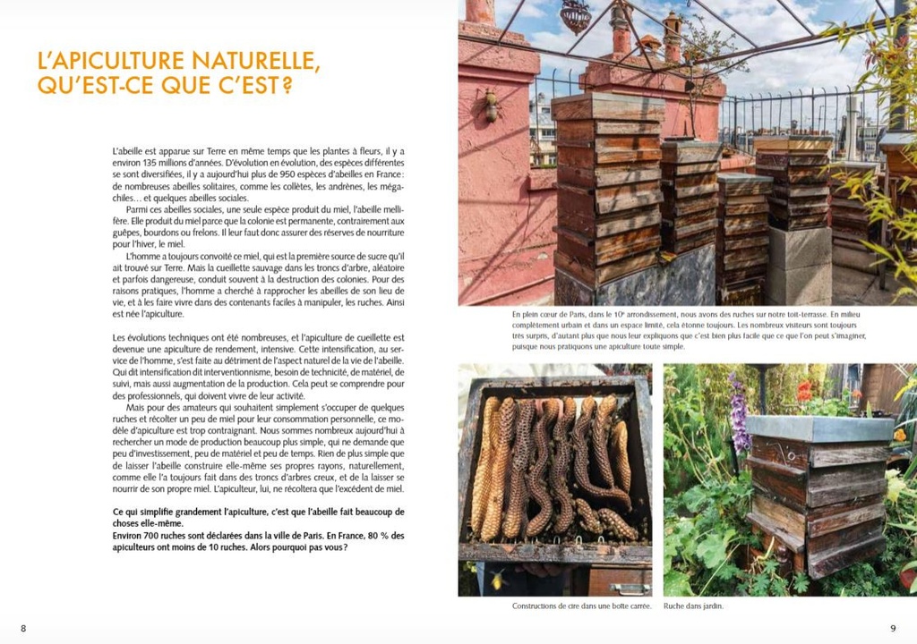 L'apiculture naturelle pour les débutants - Installer une ruche Warré en ville ou à la campagne