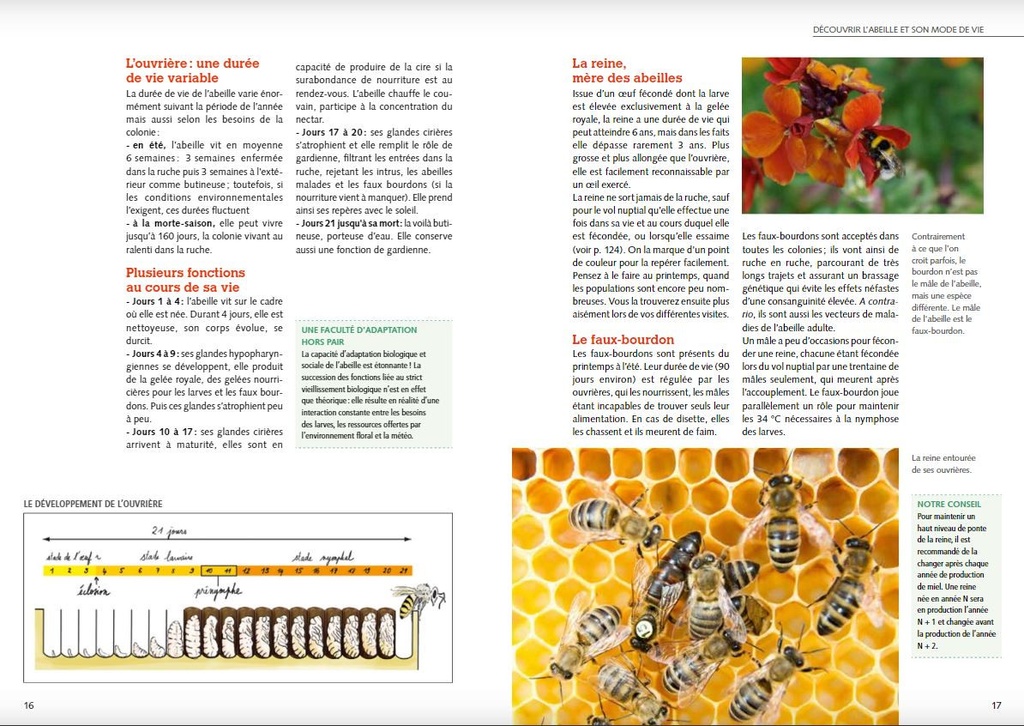 Installer un premier rucher - Guide pratique du débutant - Jean RIONDET