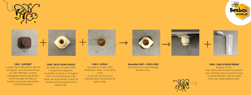 Kit de démarrage pour l'élevage de reines