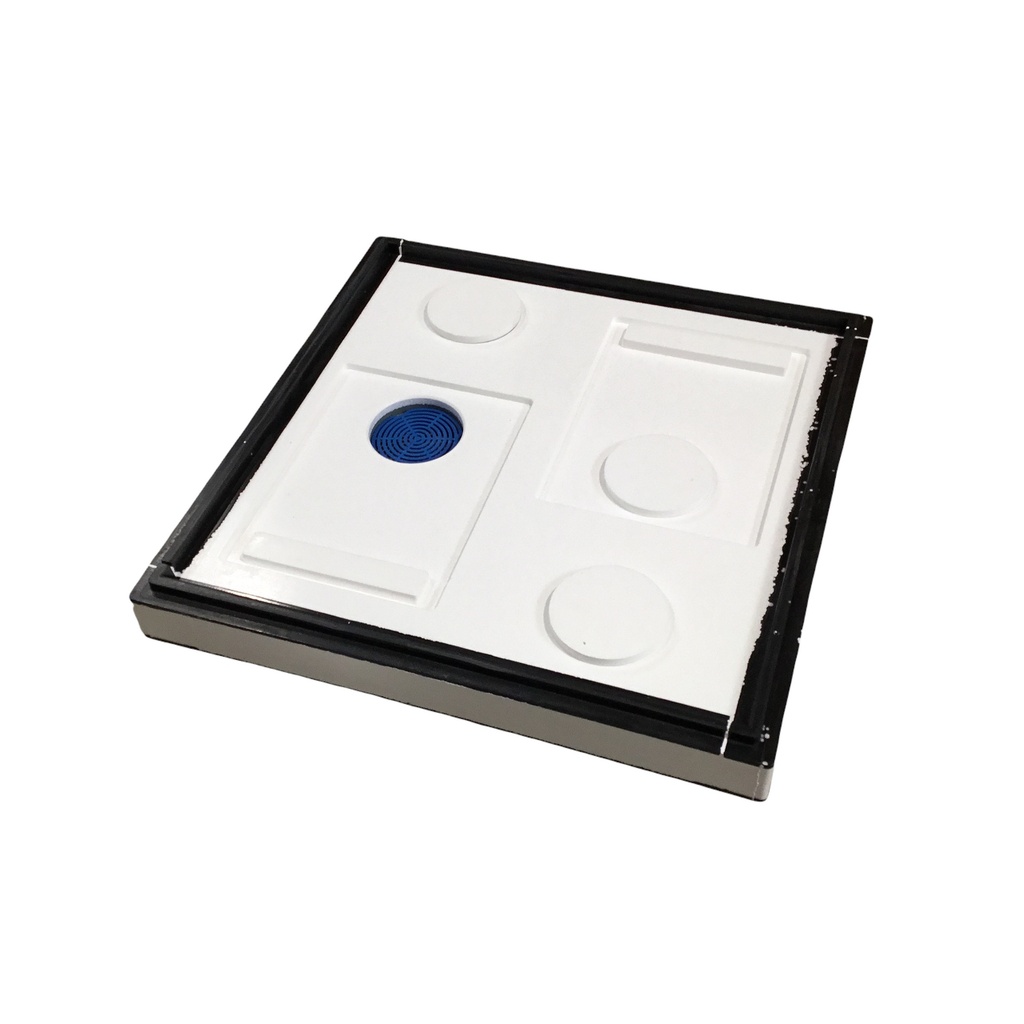 Ruche d'élevage convertible Lyson 12 cadres