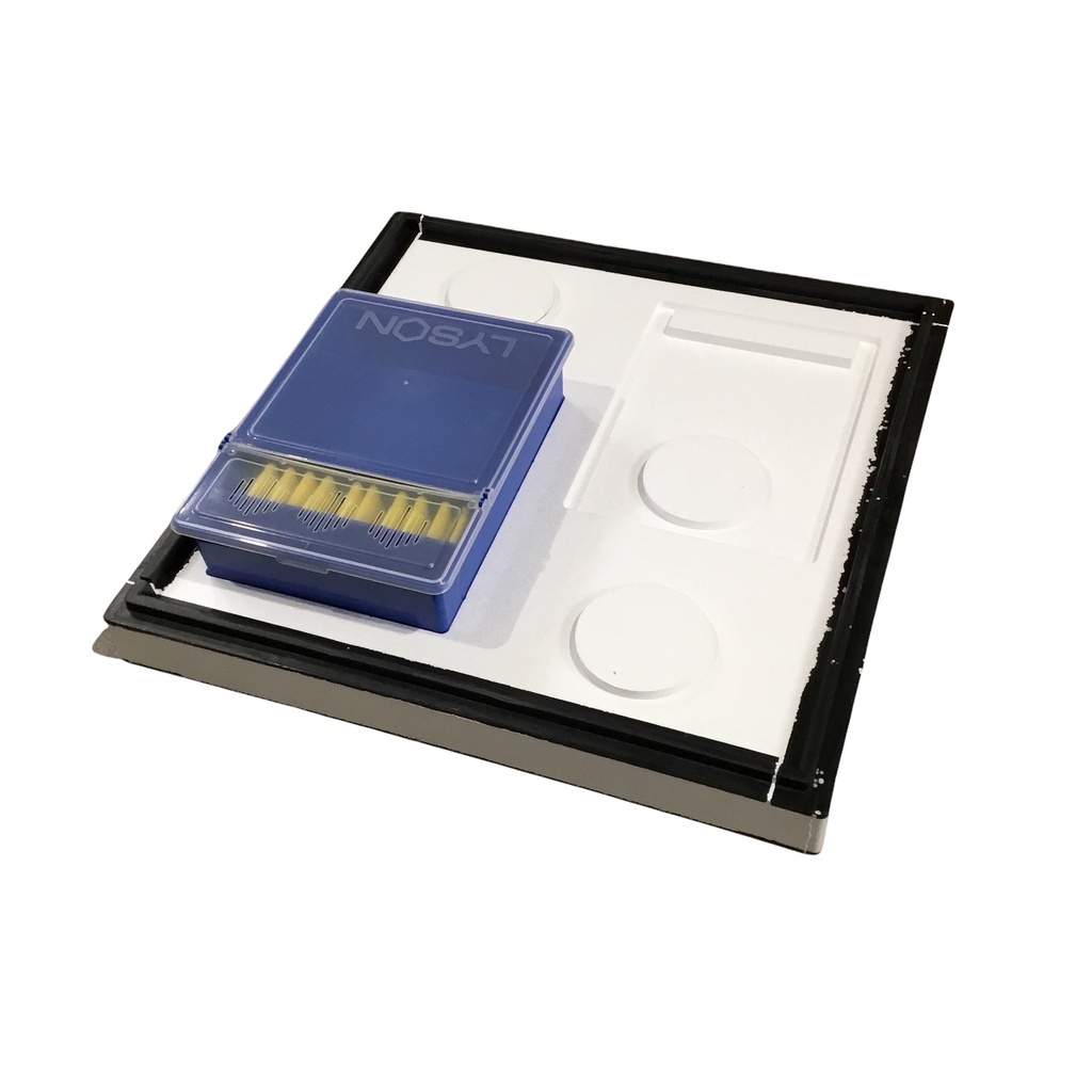 Ruche d'élevage convertible Lyson 12 cadres