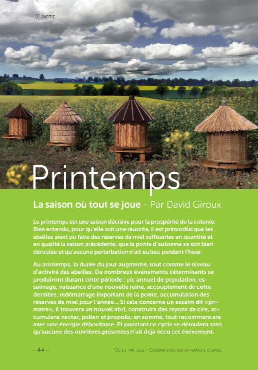 Observations sur la planche d'envol ; comprendre une colonie d'abeilles sans ouvrir la ruche