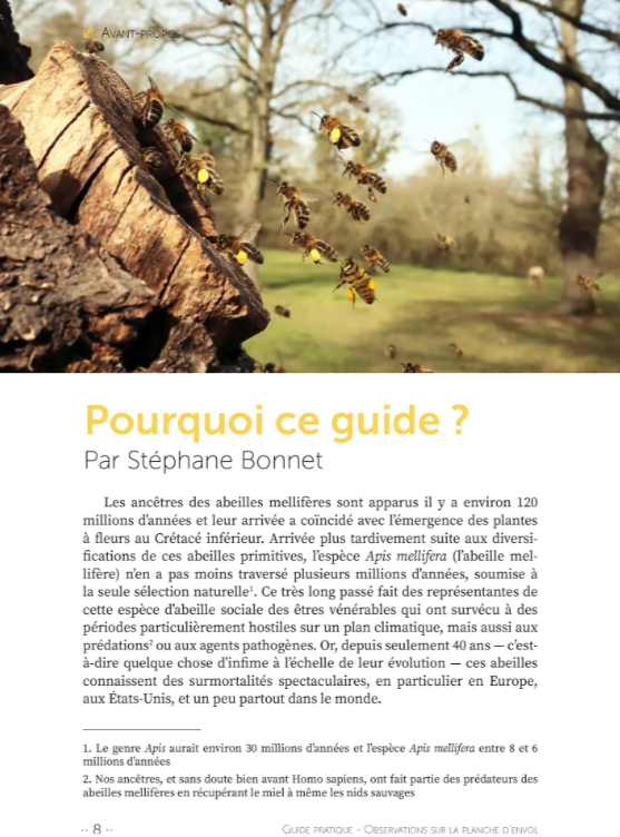 Observations sur la planche d'envol ; comprendre une colonie d'abeilles sans ouvrir la ruche