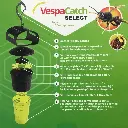VespaCatch Select, piège à frelons sélectif