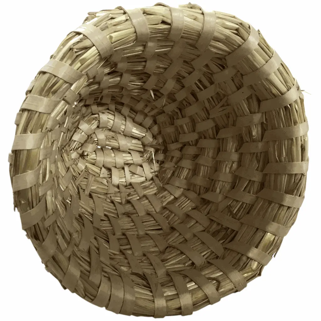 beeboxworld-5004-cloche-en-paille-catoire-mini (1).webp