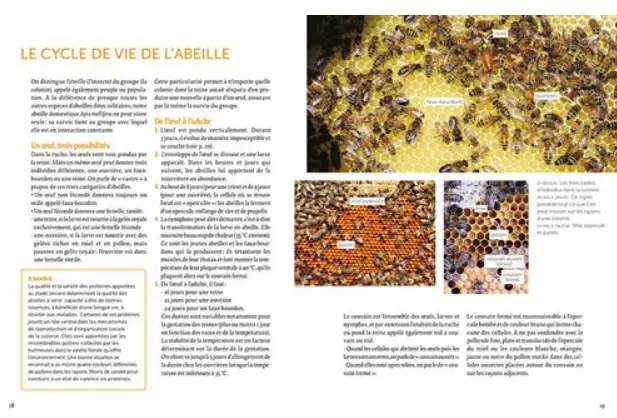 beeboxworld-installer-un-premier-rucher-merit-riondet (3).webp