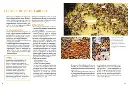 beeboxworld-installer-un-premier-rucher-merit-riondet (3).webp