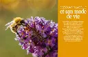 beeboxworld-installer-un-premier-rucher-merit-riondet (2).webp