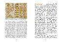 beeboxworld-accueillir-des-abeilles-ulmer (4).webp