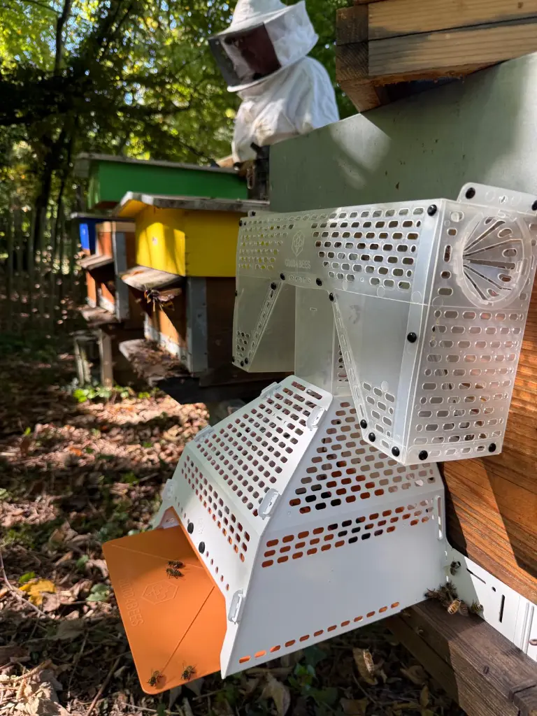 Muselière GOOD4BEES - protection de ruche contre le frelon asiatique beebox world - fernando- sur ruches.webp