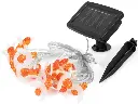 beeboxworld-guirlande-lumineuse-led-solaire (5).webp