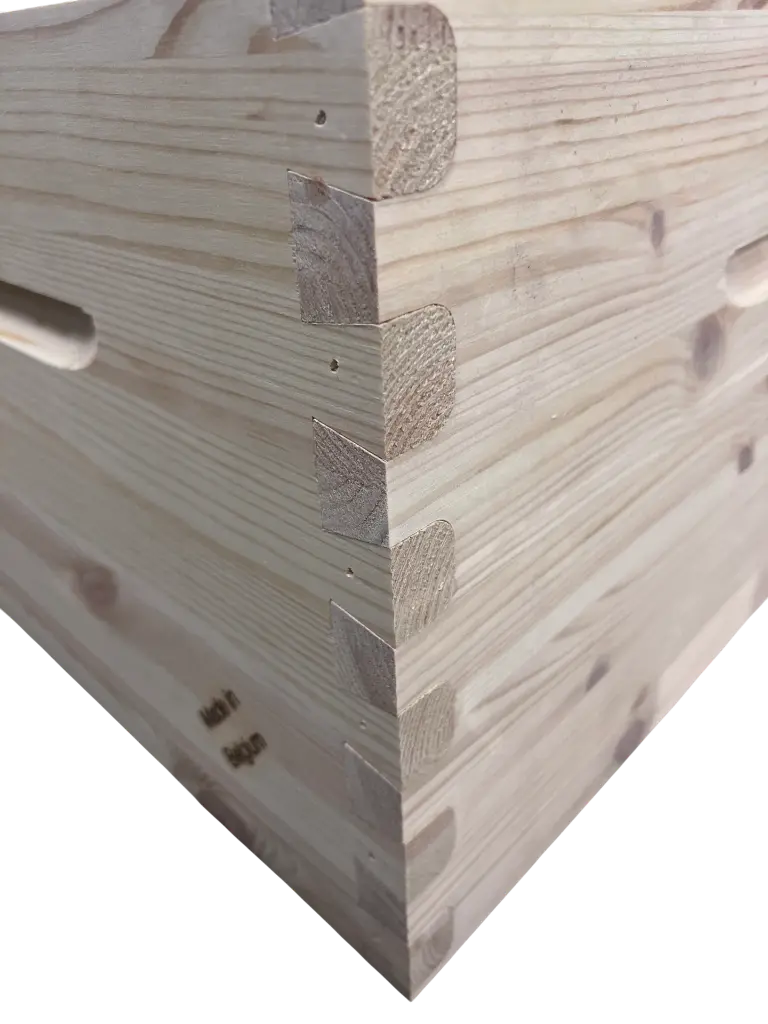 ruche sylvabel made in belgium beeboxworld (1).webp