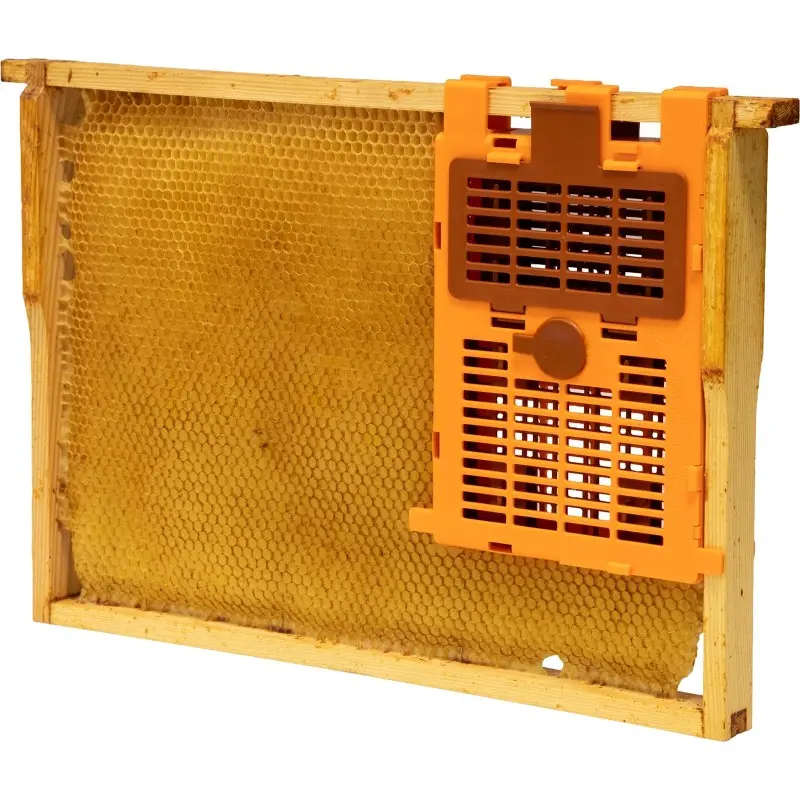 IzoVar - cagette d'isolation de la reine pour une lutte biotechnique contre varroa destructor (2).webp