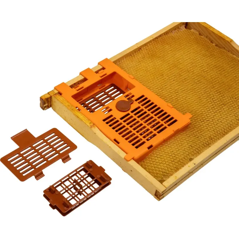 IzoVar - cagette d'isolation de la reine pour une lutte biotechnique contre varroa destructor (3).webp