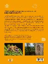 9782379221743- abeilles-sauvages-tautz-4eme couv.webp
