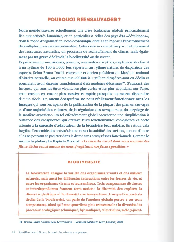 Abeilles mellifères, le pari du réensauvagement1.webp