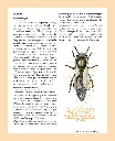 Le grand guide visuel de l'apiculture .webp