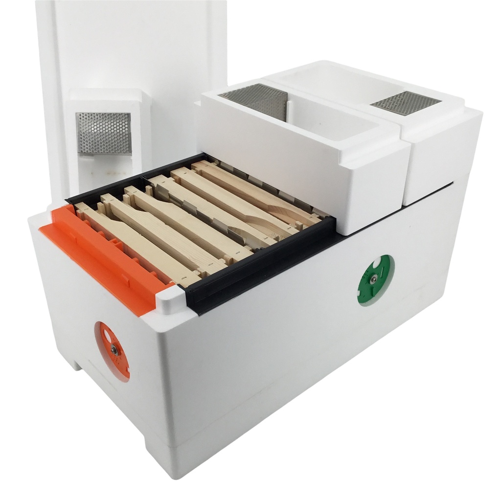 Ruchette d'élevage Quadri Hive