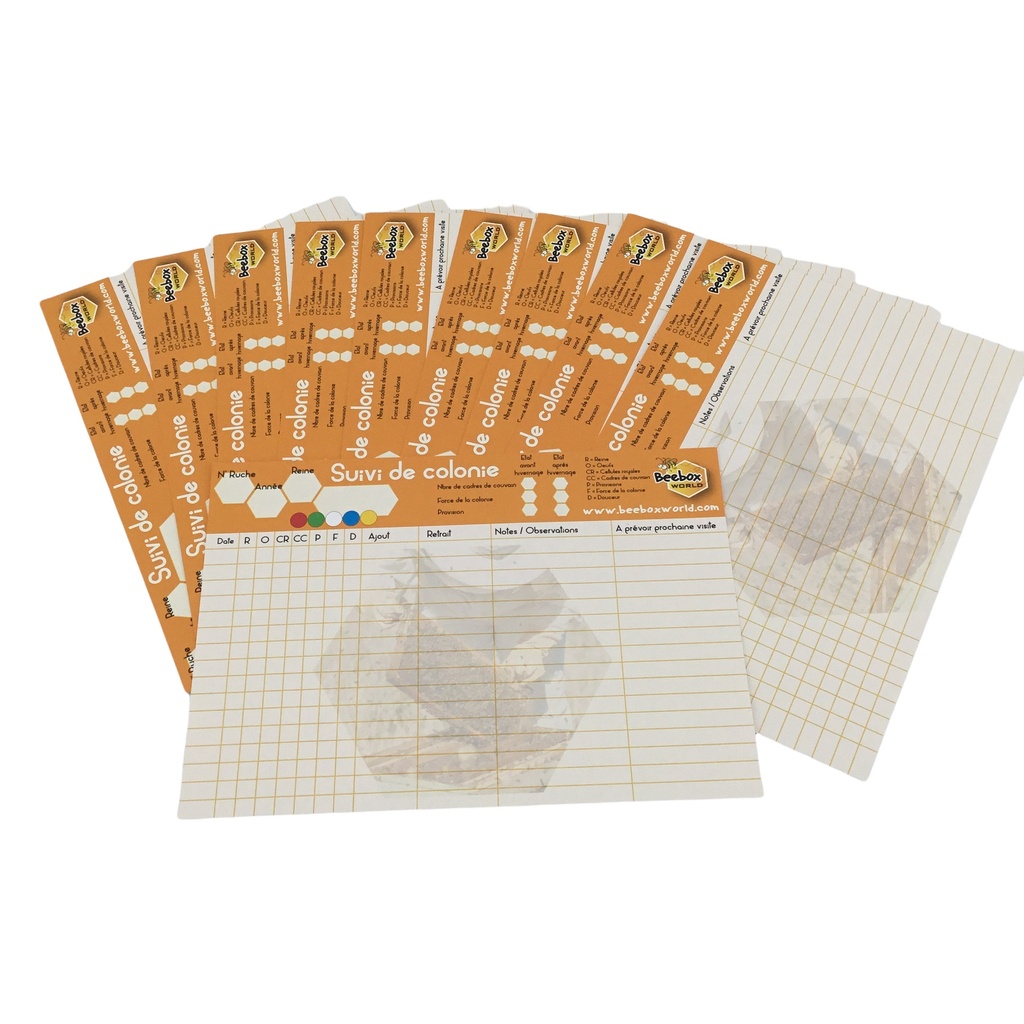 10 Feuilles de SUIVI de COLONIE / RUCHE