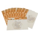 10 Feuilles de SUIVI de COLONIE / RUCHE
