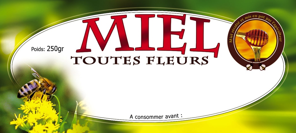 Etiquettes MIEL toutes fleurs - "Fleurs jaunes  + cuillère à miel" 250gr
