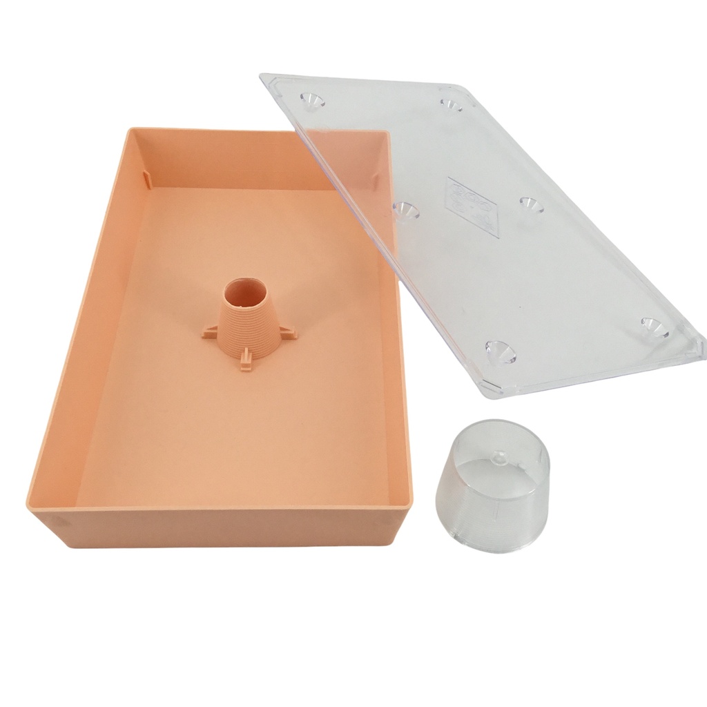 Nourrisseur en plastique plat Lorho 3L