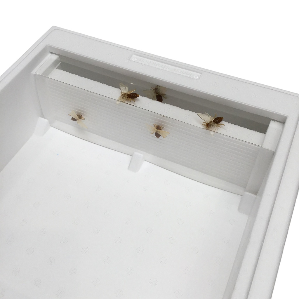 Séparation transparente pour nourrisseur Mini-Plus