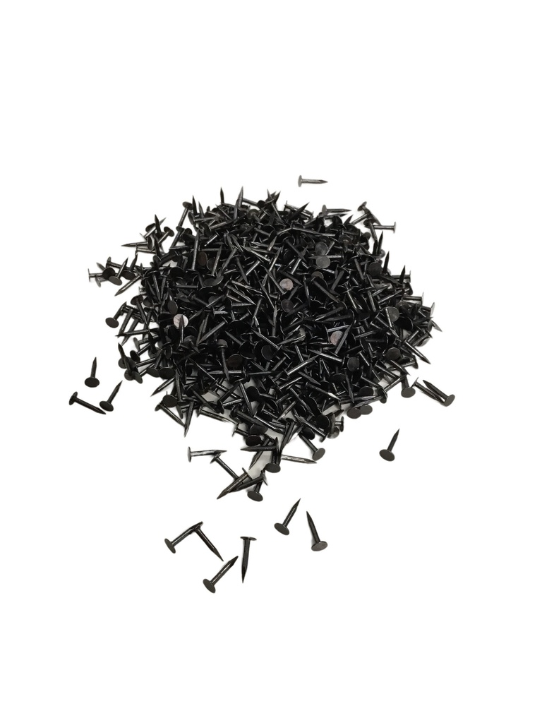 Clous à TÊTE PLATE pour fixation du fil sur les cadres