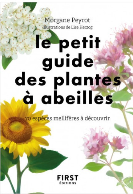 Le petit guide des plantes à abeilles - Morgane Peyrot