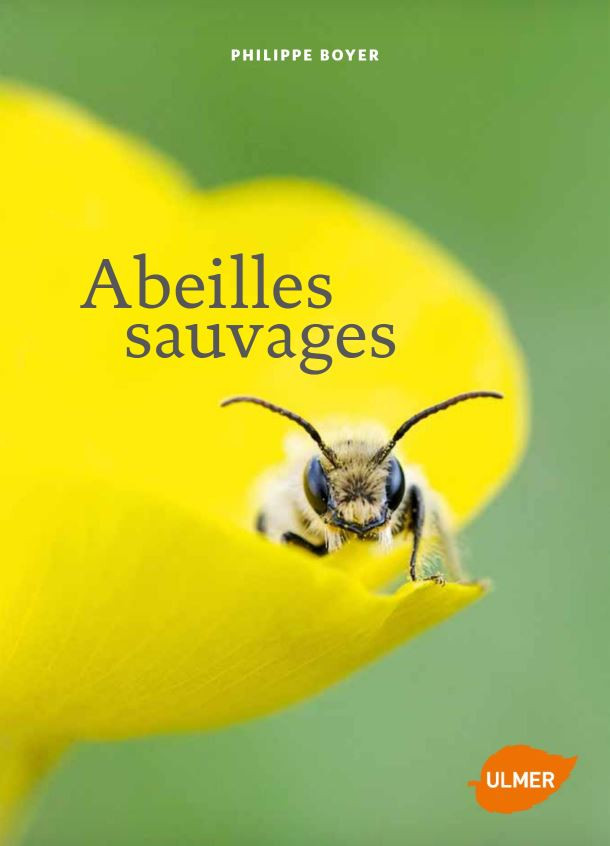 Abeilles sauvages - Ph. Boyer