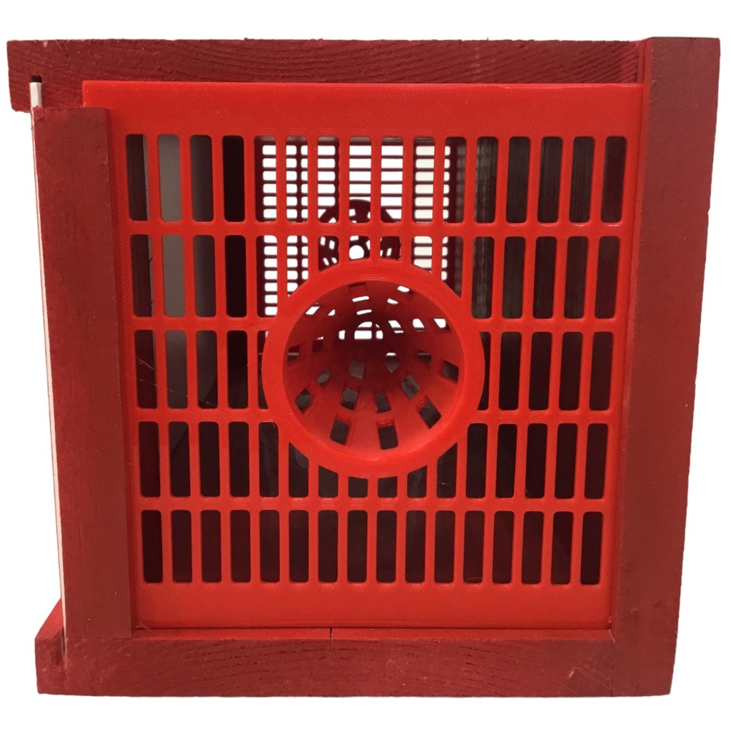 Piège à frelons asiatiques - BELGIAN TRAP 2 - DEUX cônes de piégeage