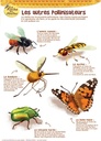 Kit animation: 5 posters A3 - La Ruche des Abeilles