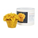 Moule à cire pour bougie - "ROSE DE NOEL"