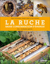 La ruche basse consommation d'énergie - Une "révolution apicole"