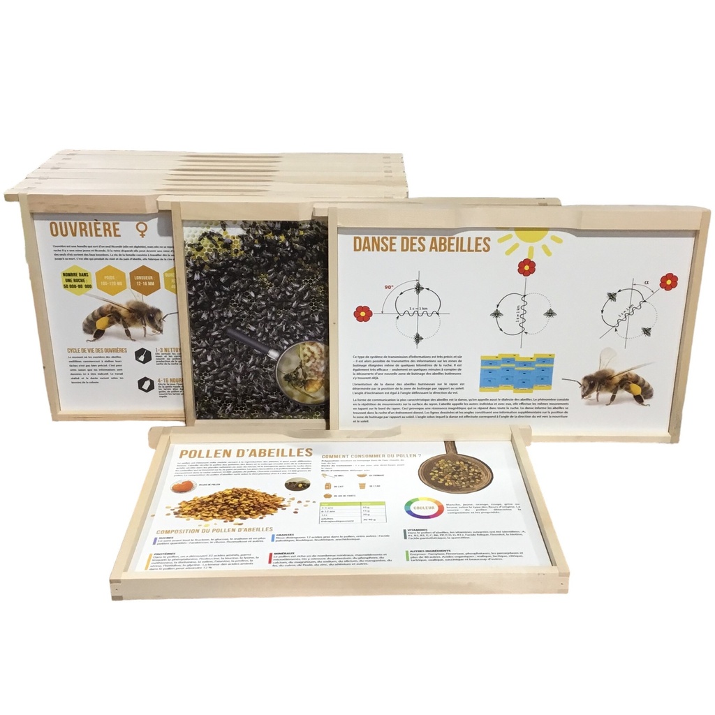 Kit de 24 fiches pédagogiques sur cadre