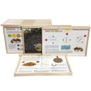 Kit de 24 fiches pédagogiques sur cadre