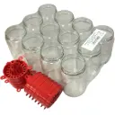 FatalPack - 12 pièges à frelons asiatiques FatalTrap à visser sur 12 pots