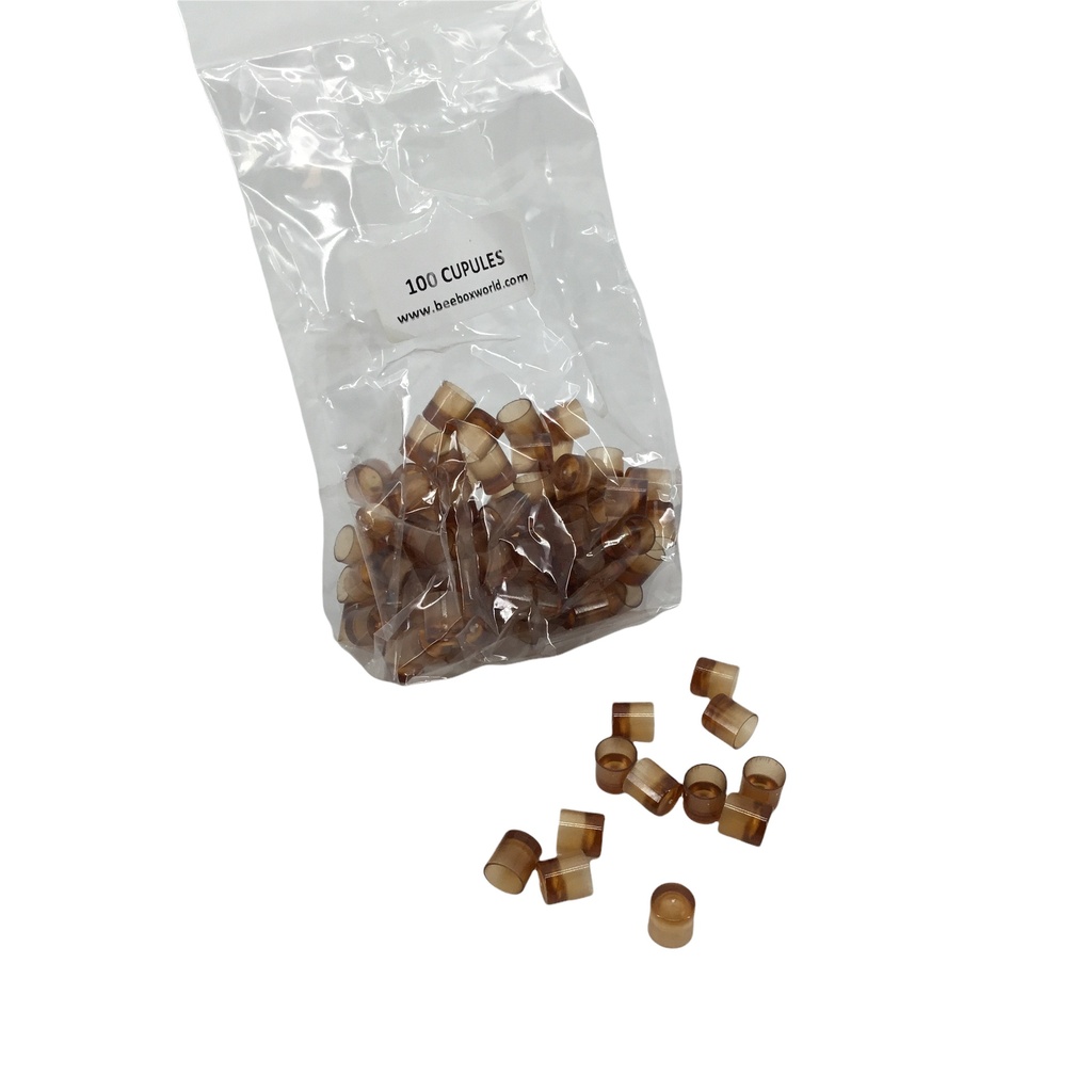 100 cupules en plastique - CNE3