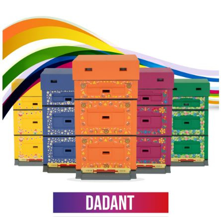 Ruche 10C EASY ONE DECO