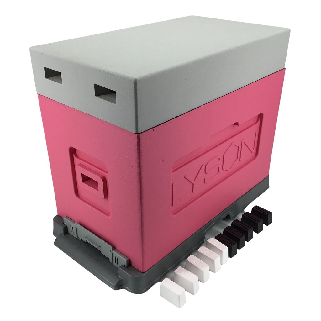 Ruchette d'élevage PEINTE Lyson - new model 2020