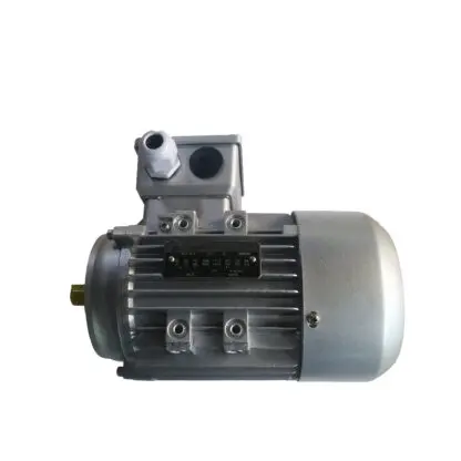 Moteur 0.37kw pour extracteur LYSON