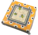 Serviettes avec décor d'Abeilles & fleurs - Paquet de 50