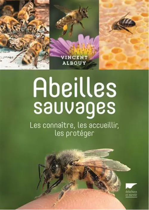 Abeilles sauvages - Les connaître, les accueillir, les protéger